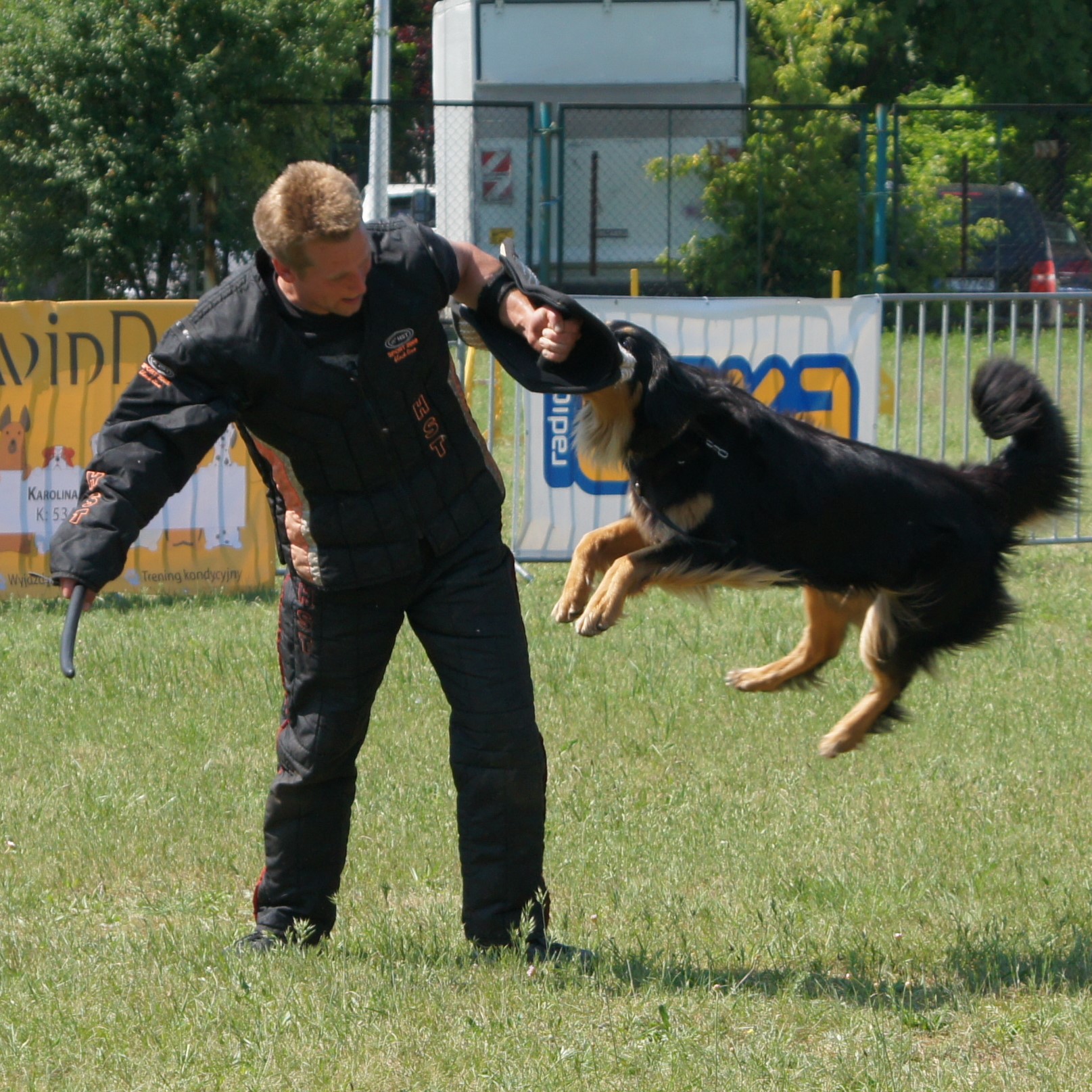 Hovawart podczas zatrzymania pozoranta